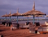 Umbrellas