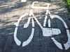 the-Mikulczyce-cycle