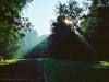 Park, Zabrze